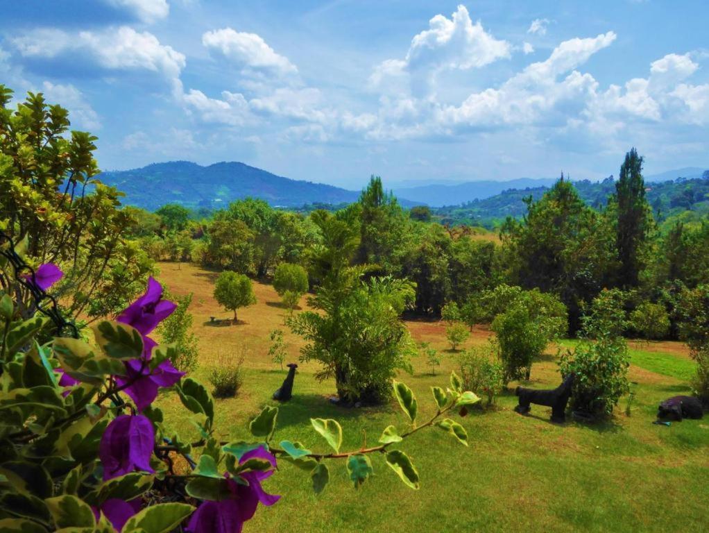 Finca El Cielo Сан-Агустин Экстерьер фото